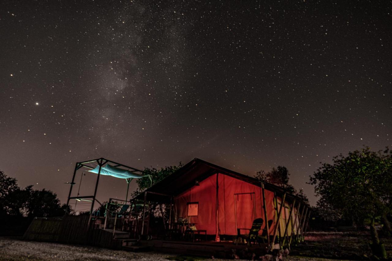 Ses Quinta Luxury Safari Tents Paderne Bagian luar foto